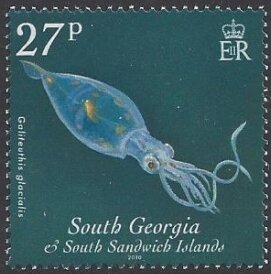 Galiteuthis glacialis