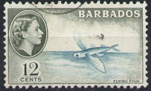 Stamp, Flying Fish (Exocoetidae), Barbados,  , Animals (Fauna), Fishes
