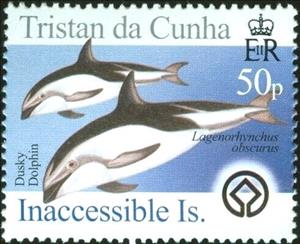 Stamp, Dusky Dolphin (Lagenorhynchos obscurus), Tristan da Cunha,  , Animals (Fauna), Dolphins, Mammals, Sea (Marine) Mammals, Sea Life, UNESCO World Heritage Sites
