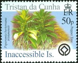 Stamp, Pepper Tree (Peperomia berteroana tristanensis), Tristan da Cunha,  , Plants (Flora), UNESCO World Heritage Sites