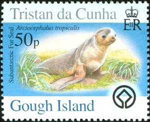 Stamp, Subantarctic Fur Seal (Arctocephalus tropicalis), Tristan da Cunha,  , Animals (Fauna), Mammals, Sea (Marine) Mammals, Sea Life, Seals (Animals)