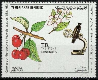 Cherries and flowers