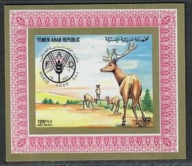 Deer
