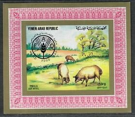 Sheep