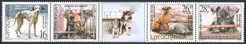 Se-tenant, Abandoned Dog, Yugoslavia,  , Animals (Fauna), Dogs, Mammals
