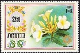 Frangipani