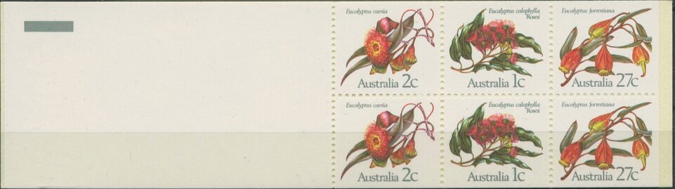 Eucalyptus