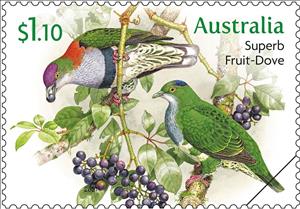 Stamp, Superb Fruit Dove (Ptilinopus superbus), Australia,  , Animals (Fauna), Birds, Pigeons