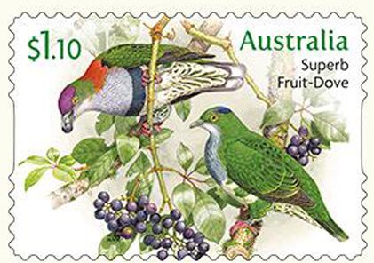 Stamp, Superb Fruit Dove (Ptilinopus superbus), Australia,  , Animals (Fauna), Birds, Pigeons