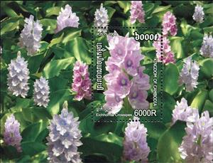 Souvenir Sheet, Eichhornia crassipes, Cambodia,  , Flowers, Plants (Flora)