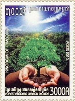 Hands hold tree