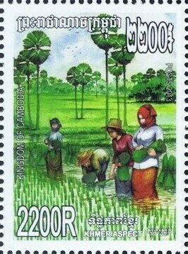 Rice planting