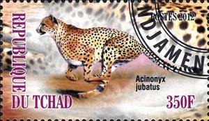 Stamp, Acinonyx jubatus, Cinderellas,  , Animals (Fauna), Mammals