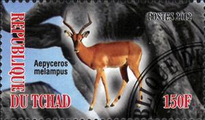 Stamp, Aepyceros melampus, Cinderellas,  , Animals (Fauna), Mammals
