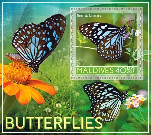 Butterflies