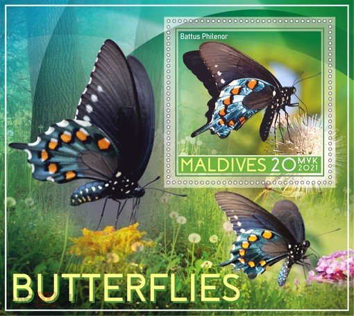 Butterflies