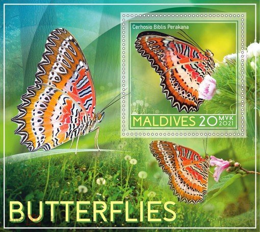 Butterflies