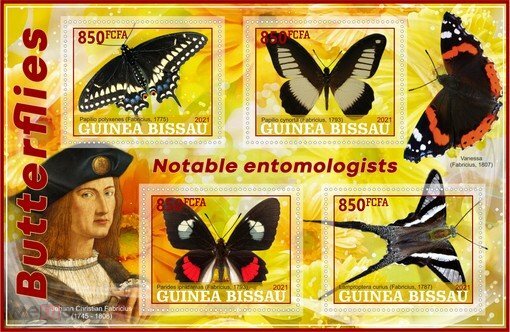 Butterflies