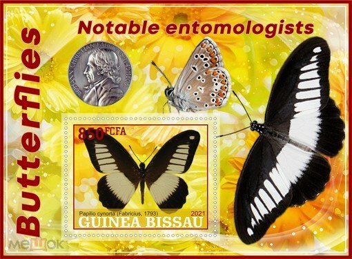 Butterflies