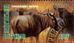 Stamp, Connochaetes taurinus, Cinderellas,  , Animals (Fauna), Mammals