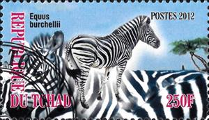 Stamp, Equus burchellii, Cinderellas,  , Animals (Fauna), Mammals, Zebras