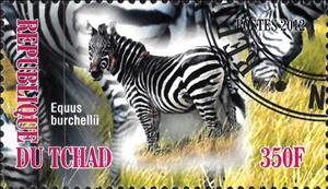 Stamp, Equus burchellii, Cinderellas,  , Animals (Fauna), Mammals, Zebras