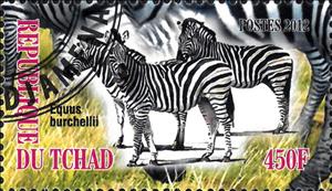 Stamp, Equus burchellii, Cinderellas,  , Animals (Fauna), Mammals, Zebras