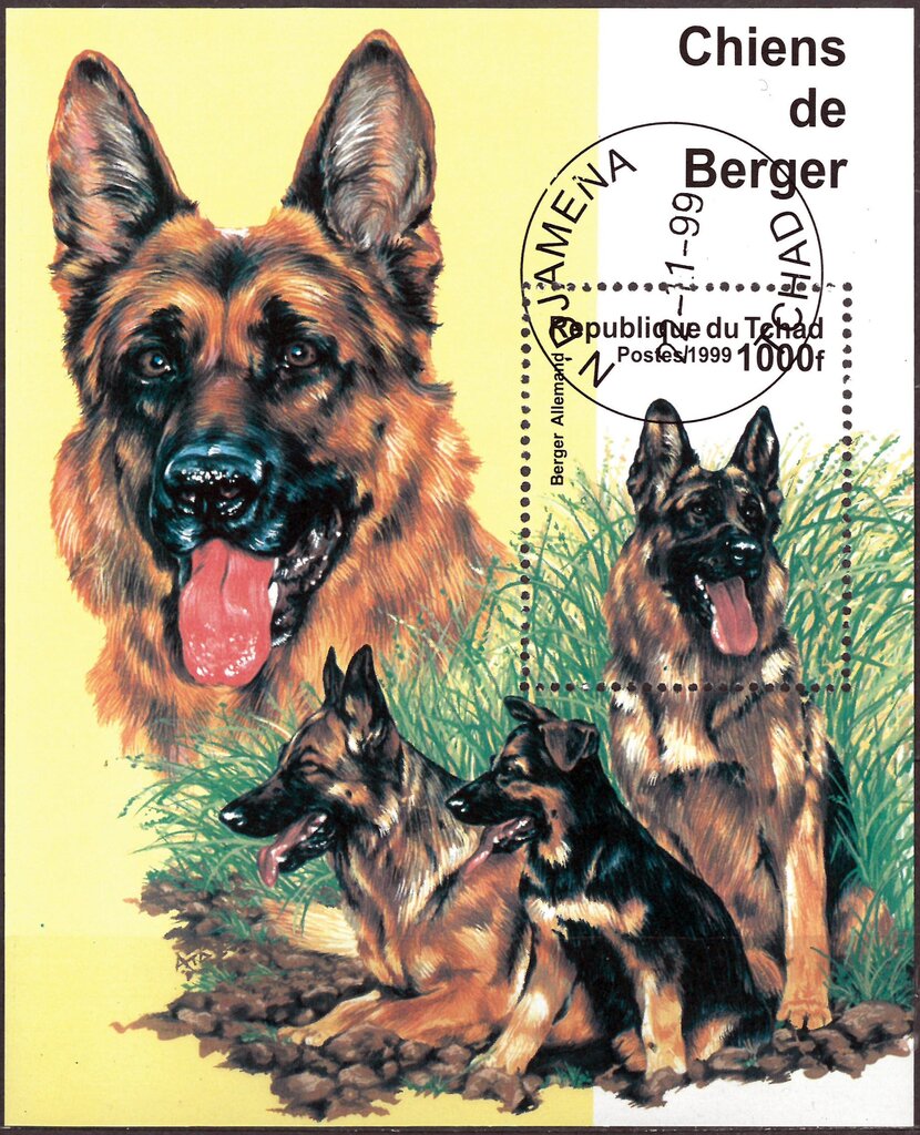 German Shepherd