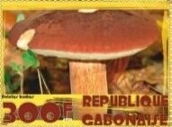 Mushrooms