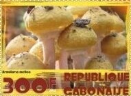 Mushrooms