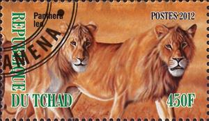 Stamp, Panthera leo, Cinderellas,  , Animals (Fauna), Mammals