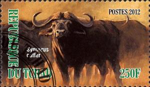 Stamp, Synocerus caffer, Cinderellas,  , Animals (Fauna), Mammals