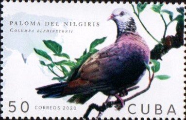 Stamp, Pigeon of the Nilgiris, Cuba,  , Animals (Fauna), Birds, Pigeons