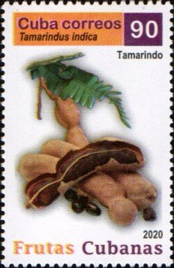 Tamarind