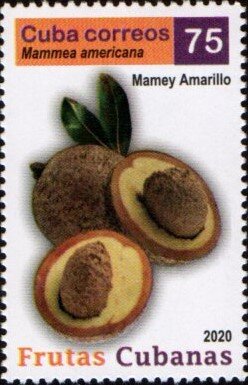 Yellow Mamey