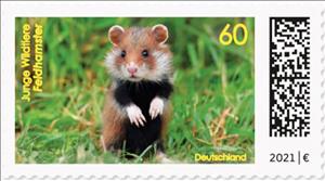 Stamp, European Hamster (Cricetus cricetus), Germany, Federal Republic,  , Animals (Fauna), Hamsters, Mammals