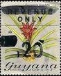 Stamp, $20 on 50c Guzmania lingulata, Guyana,  , Plants (Flora)