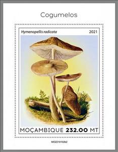 Souvenir Sheet, The Deep Root Mushroom (Hymenopellis radicata), Mozambique,  , Mushrooms, Plants (Flora)