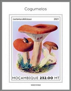 Souvenir Sheet, The Saffron Milk Cap (Lactarius deliciosus), Mozambique,  , Mushrooms, Plants (Flora)