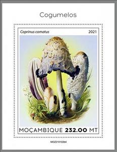 Souvenir Sheet, The Shaggy Ink Cap (Coprinus comatus), Mozambique,  , Mushrooms, Plants (Flora)