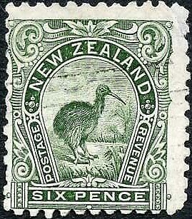 Brown Kiwi (Apteryx australis)