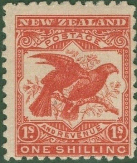Kea (Nestor notabilis), Kaka (Nestor meridionalis)