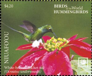 Stamp, White-Booted Racket-Tail (Ocreatus underwoodii), Niuafo'ou,  