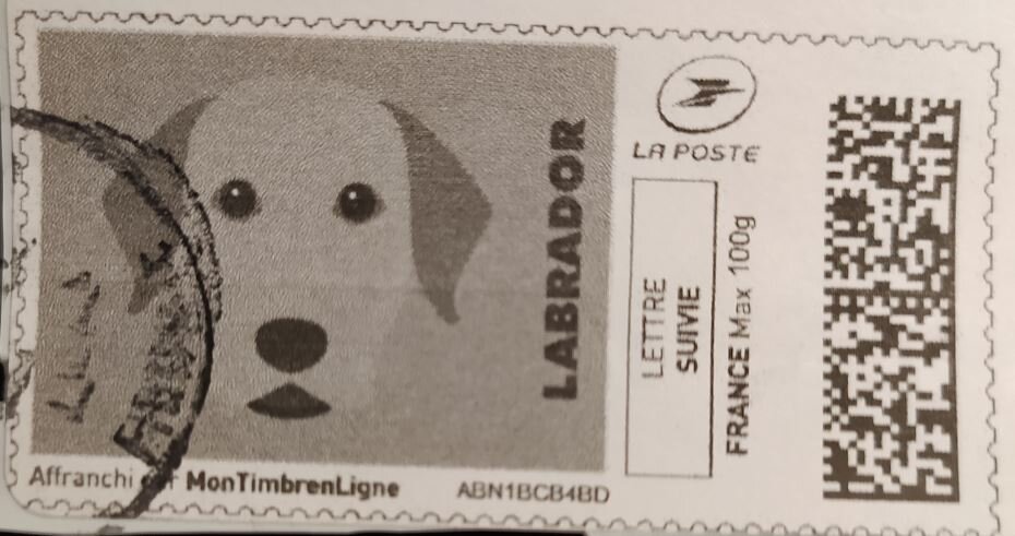 Labrador