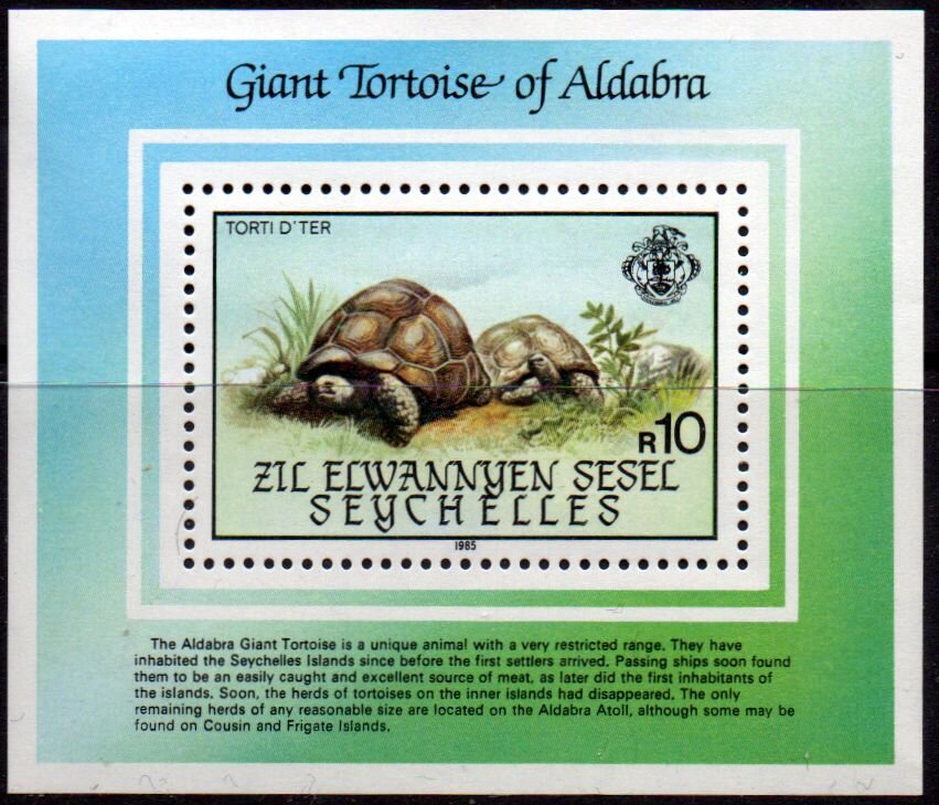 Aldabra Giant Tortoise (Aldabrachelys gigantea)