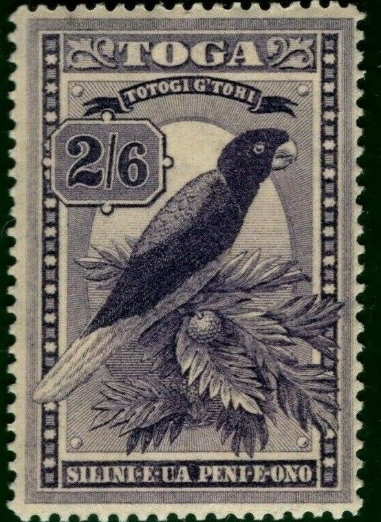 Maroon Shining-parrot (Prosopeia tabuensis)
