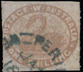 Stamp, Black Swan (Cygnus atratus), Western Australia,  , Animals (Fauna), Birds, Swans