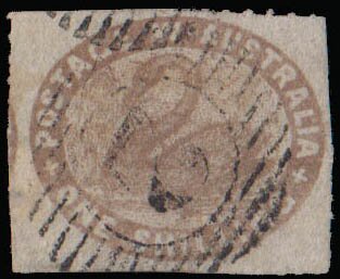 Stamp, Black Swan (Cygnus atratus), Western Australia,  , Animals (Fauna), Birds, Swans