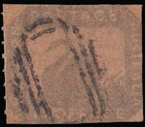 Stamp, Black Swan (Cygnus atratus), Western Australia,  , Animals (Fauna), Birds, Swans