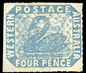 Stamp, Black Swan (Cygnus atratus), Western Australia,  , Animals (Fauna), Birds, Swans